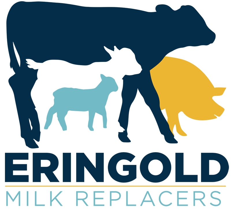 Eringold Ltd